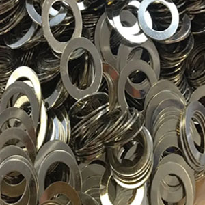 SHIMS